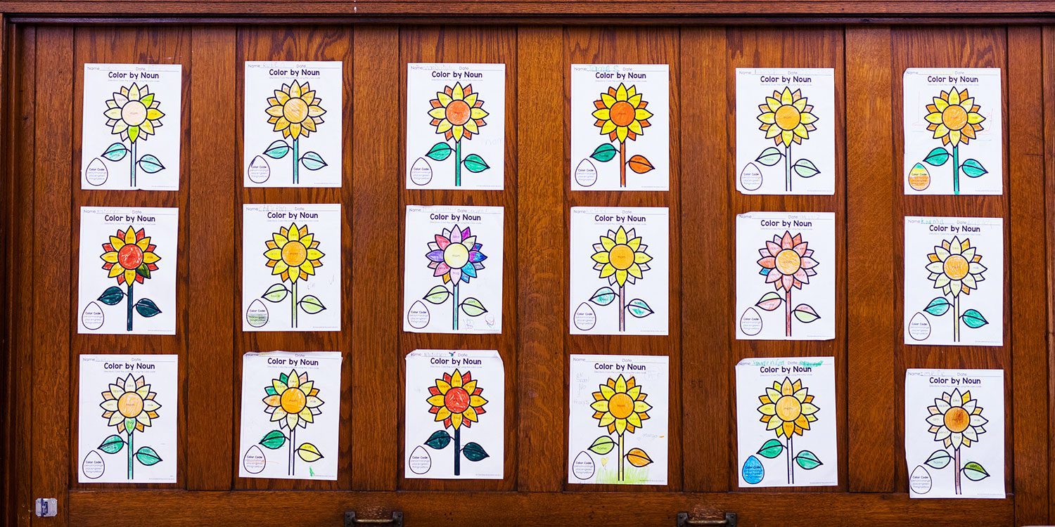 Student sunflower 'Color by Noun' worksheets displayed on a classroom wall.